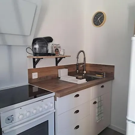Appartement Dans Maison Avec Jardin Et Balcon, Au Calme Sérézin-du-Rhône